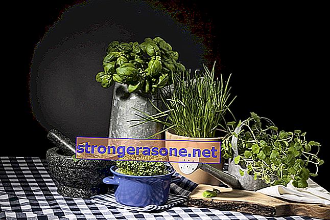 κουζίνα κήπων με βότανα